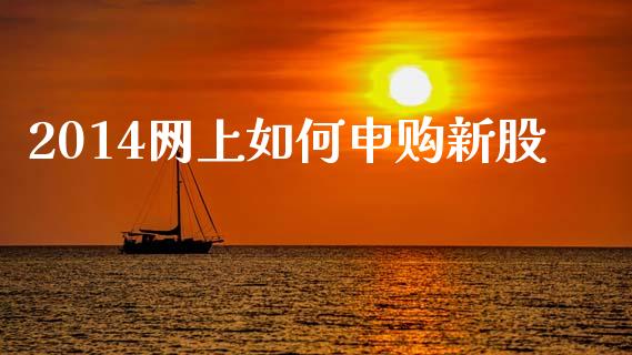 2014网上如何申购新股_https://m.sdyuehang.cn_恒指直播_第1张