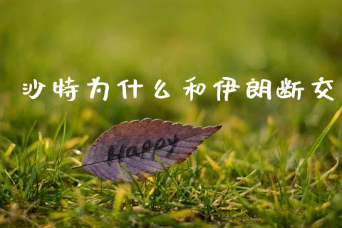 沙特为什么和伊朗断交_https://m.sdyuehang.cn_纳指直播喊单_第1张