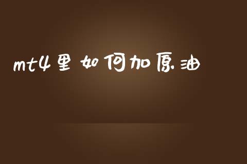mt4里如何加原油_https://m.sdyuehang.cn_国际期货恒指直播间_第1张