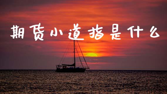 期货小道指是什么_https://m.sdyuehang.cn_恒指直播_第1张