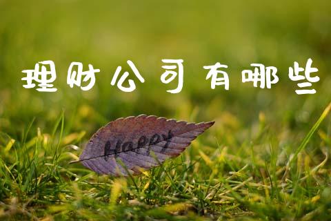 理财公司有哪些_https://m.sdyuehang.cn_恒指直播_第1张