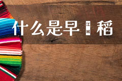 什么是早籼稻_https://m.sdyuehang.cn_国际期货恒指直播间_第1张