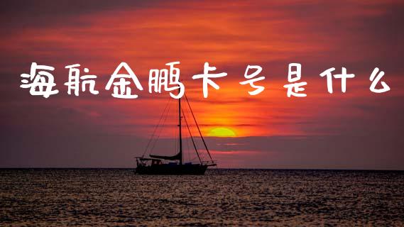 海航金鹏卡号是什么_https://m.sdyuehang.cn_纳指直播喊单_第1张