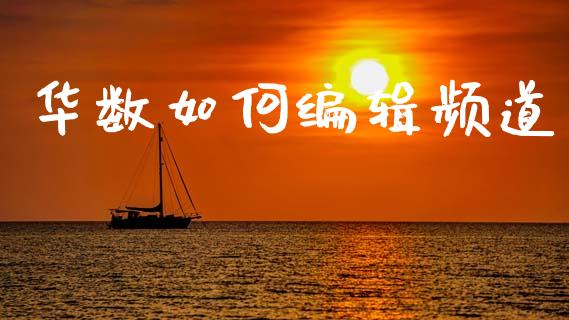 华数如何编辑频道_https://m.sdyuehang.cn_德指直播室_第1张