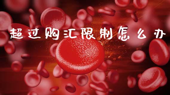 超过购汇限制怎么办_https://m.sdyuehang.cn_纳指直播喊单_第1张