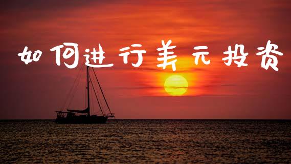 如何进行美元投资_https://m.sdyuehang.cn_恒指直播_第1张