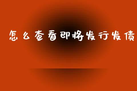 怎么查看即将发行发债_https://m.sdyuehang.cn_恒指直播_第1张