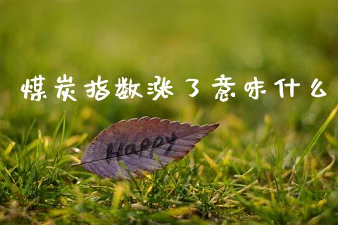 煤炭指数涨了意味什么_https://m.sdyuehang.cn_德指直播室_第1张