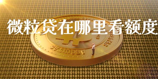 微粒贷在哪里看额度_https://m.sdyuehang.cn_德指直播室_第1张