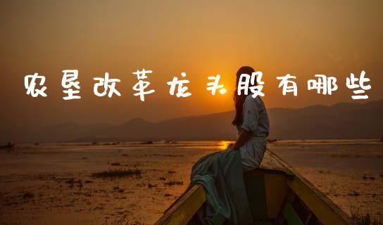农垦改革龙头股有哪些_https://m.sdyuehang.cn_纳指直播喊单_第1张