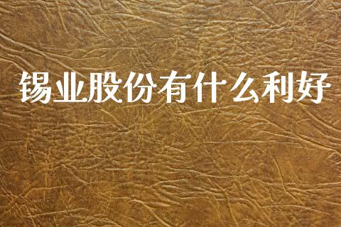 锡业股份有什么利好_https://m.sdyuehang.cn_德指直播室_第1张