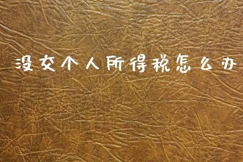没交个人所得税怎么办_https://m.sdyuehang.cn_德指直播室_第1张