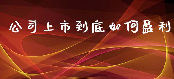 公司上市到底如何盈利_https://m.sdyuehang.cn_纳指直播喊单_第1张