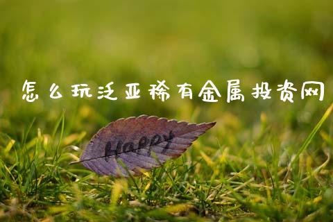 怎么玩泛亚稀有金属投资网_https://m.sdyuehang.cn_纳指直播喊单_第1张