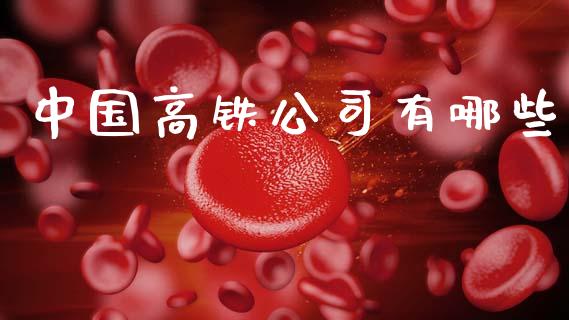 中国高铁公司有哪些_https://m.sdyuehang.cn_国际期货恒指直播间_第1张