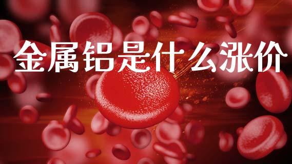 金属铝是什么涨价_https://m.sdyuehang.cn_国际期货恒指直播间_第1张