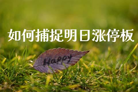 如何捕捉明日涨停板_https://m.sdyuehang.cn_纳指直播喊单_第1张