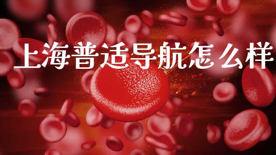 上海普适导航怎么样_https://m.sdyuehang.cn_纳指直播喊单_第1张