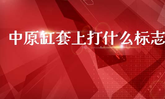 中原缸套上打什么标志_https://m.sdyuehang.cn_国际期货恒指直播间_第1张