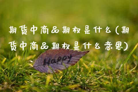 期货中商品期权是什么(期货中商品期权是什么意思)_https://m.sdyuehang.cn_纳指直播喊单_第1张