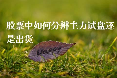 股票中如何分辨主力试盘还是出货_https://m.sdyuehang.cn_纳指直播喊单_第1张