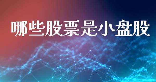 哪些股票是小盘股_https://m.sdyuehang.cn_恒指直播_第1张
