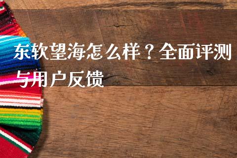 东软望海怎么样？全面评测与用户反馈_https://m.sdyuehang.cn_国际期货恒指直播间_第1张