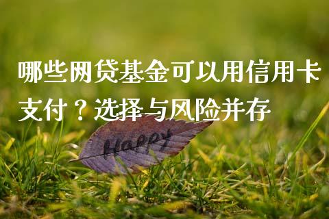 哪些网贷基金可以用信用卡支付？选择与风险并存_https://m.sdyuehang.cn_恒指直播_第1张