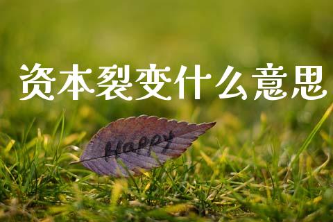 资本裂变什么意思_https://m.sdyuehang.cn_纳指直播喊单_第1张