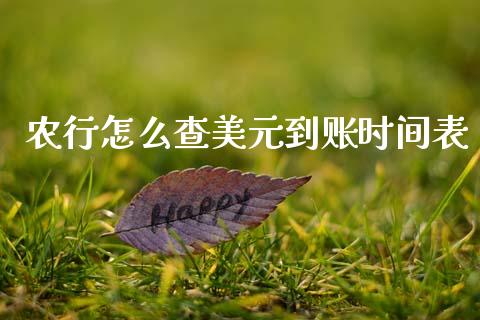 农行怎么查美元到账时间表_https://m.sdyuehang.cn_恒指直播_第1张