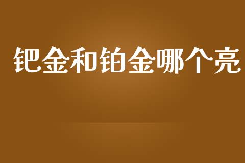 钯金和铂金哪个亮_https://m.sdyuehang.cn_德指直播室_第1张