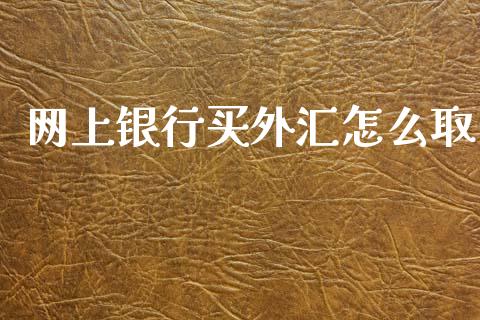网上银行买外汇怎么取_https://m.sdyuehang.cn_国际期货恒指直播间_第1张