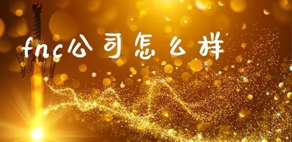 fnc公司怎么样_https://m.sdyuehang.cn_国际期货恒指直播间_第1张
