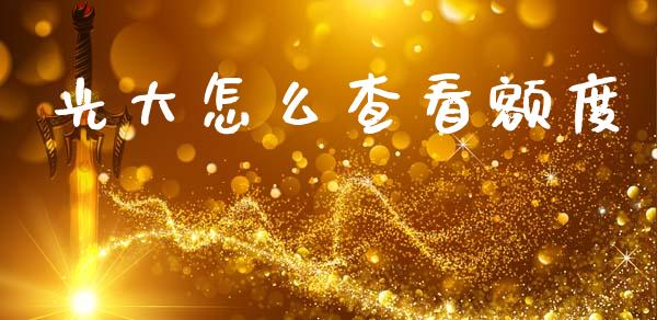光大怎么查看额度_https://m.sdyuehang.cn_国际期货恒指直播间_第1张