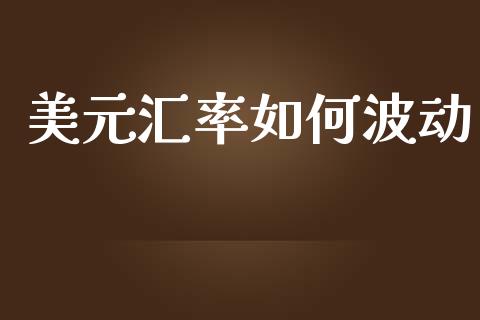 美元汇率如何波动_https://m.sdyuehang.cn_国际期货恒指直播间_第1张