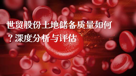 世贸股份土地储备质量如何？深度分析与评估_https://m.sdyuehang.cn_国际期货恒指直播间_第1张