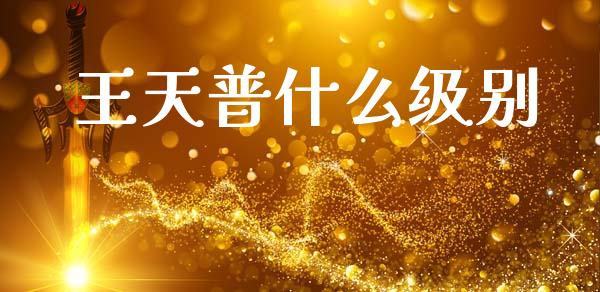 王天普什么级别_https://m.sdyuehang.cn_国际期货恒指直播间_第1张