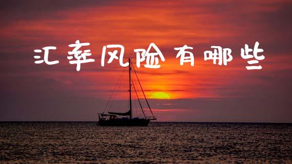 汇率风险有哪些_https://m.sdyuehang.cn_德指直播室_第1张