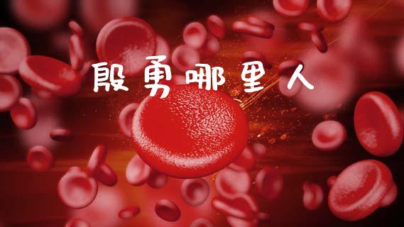 殷勇哪里人_https://m.sdyuehang.cn_纳指直播喊单_第1张