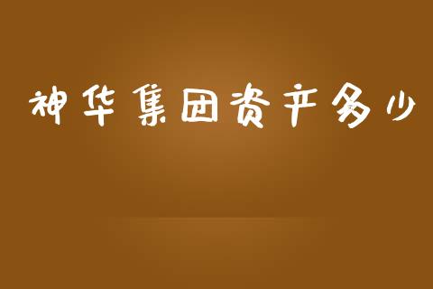 神华集团资产多少_https://m.sdyuehang.cn_纳指直播喊单_第1张