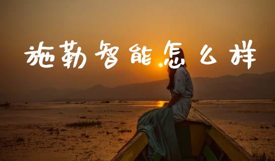 施勒智能怎么样_https://m.sdyuehang.cn_恒指直播_第1张