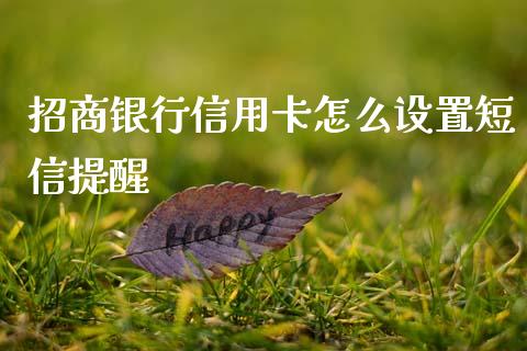 招商银行信用卡怎么设置短信提醒_https://m.sdyuehang.cn_恒指直播_第1张