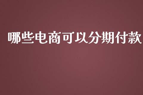 哪些电商可以分期付款_https://m.sdyuehang.cn_恒指直播_第1张