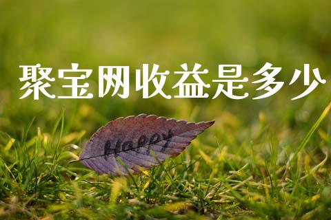 聚宝网收益是多少_https://m.sdyuehang.cn_纳指直播喊单_第1张