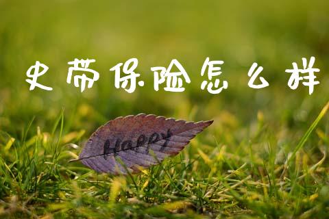 史带保险怎么样_https://m.sdyuehang.cn_国际期货恒指直播间_第1张