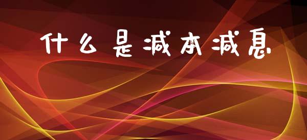 什么是减本减息_https://m.sdyuehang.cn_纳指直播喊单_第1张