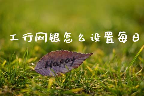 工行网银怎么设置每日_https://m.sdyuehang.cn_恒指直播_第1张