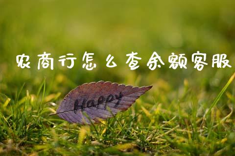农商行怎么查余额客服_https://m.sdyuehang.cn_国际期货恒指直播间_第1张