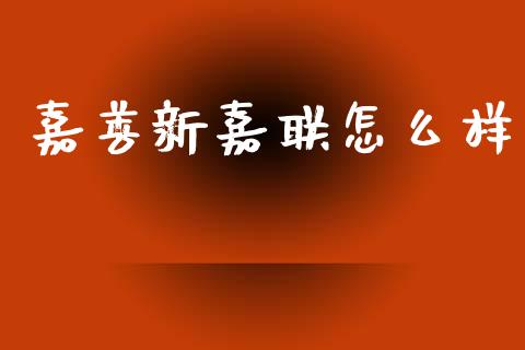 嘉善新嘉联怎么样_https://m.sdyuehang.cn_纳指直播喊单_第1张