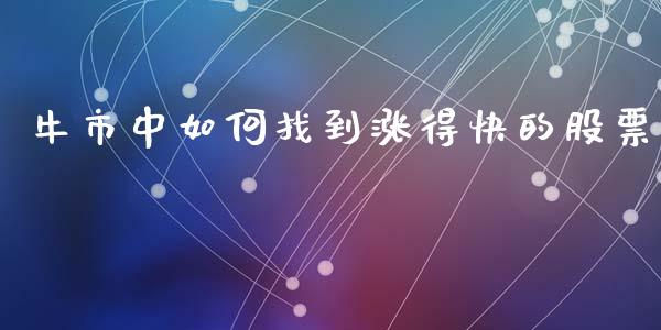牛市中如何找到涨得快的股票_https://m.sdyuehang.cn_纳指直播喊单_第1张